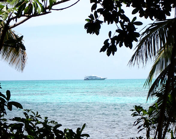 View of Liveaboard from land excursion