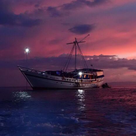 Image of Livaboard at Night taken from water during nightdive