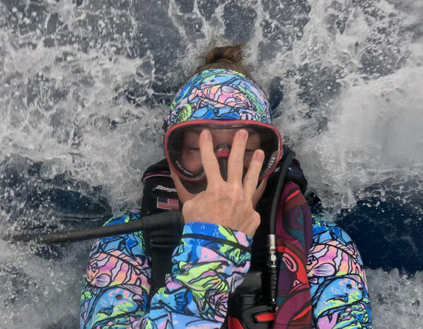 Roxy back roll entry