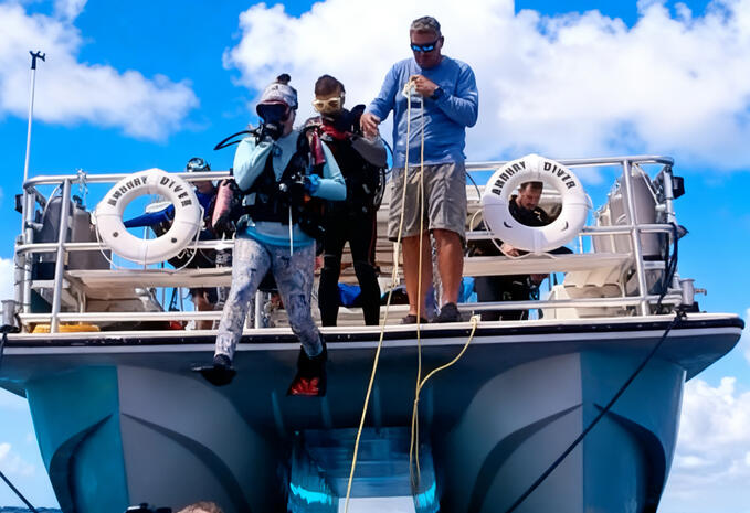 Roxy &amp; Joe giant stride