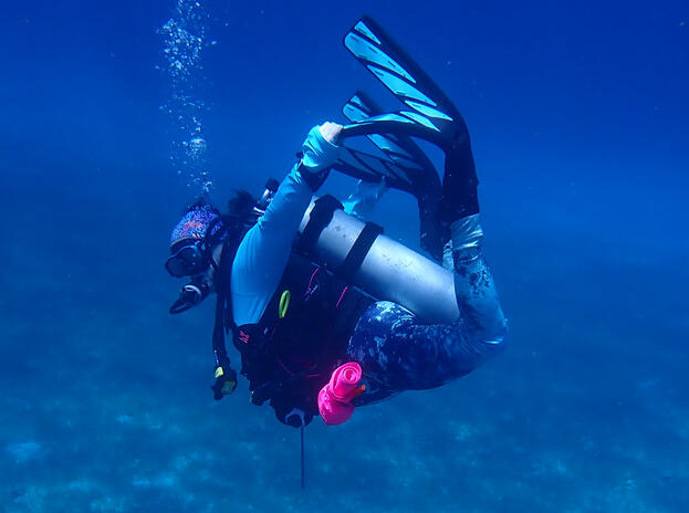 Roxy having fun on safety stop