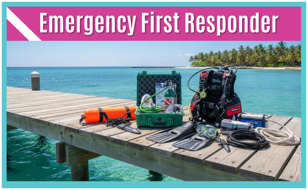 Sea Sirens Scuba & Charters